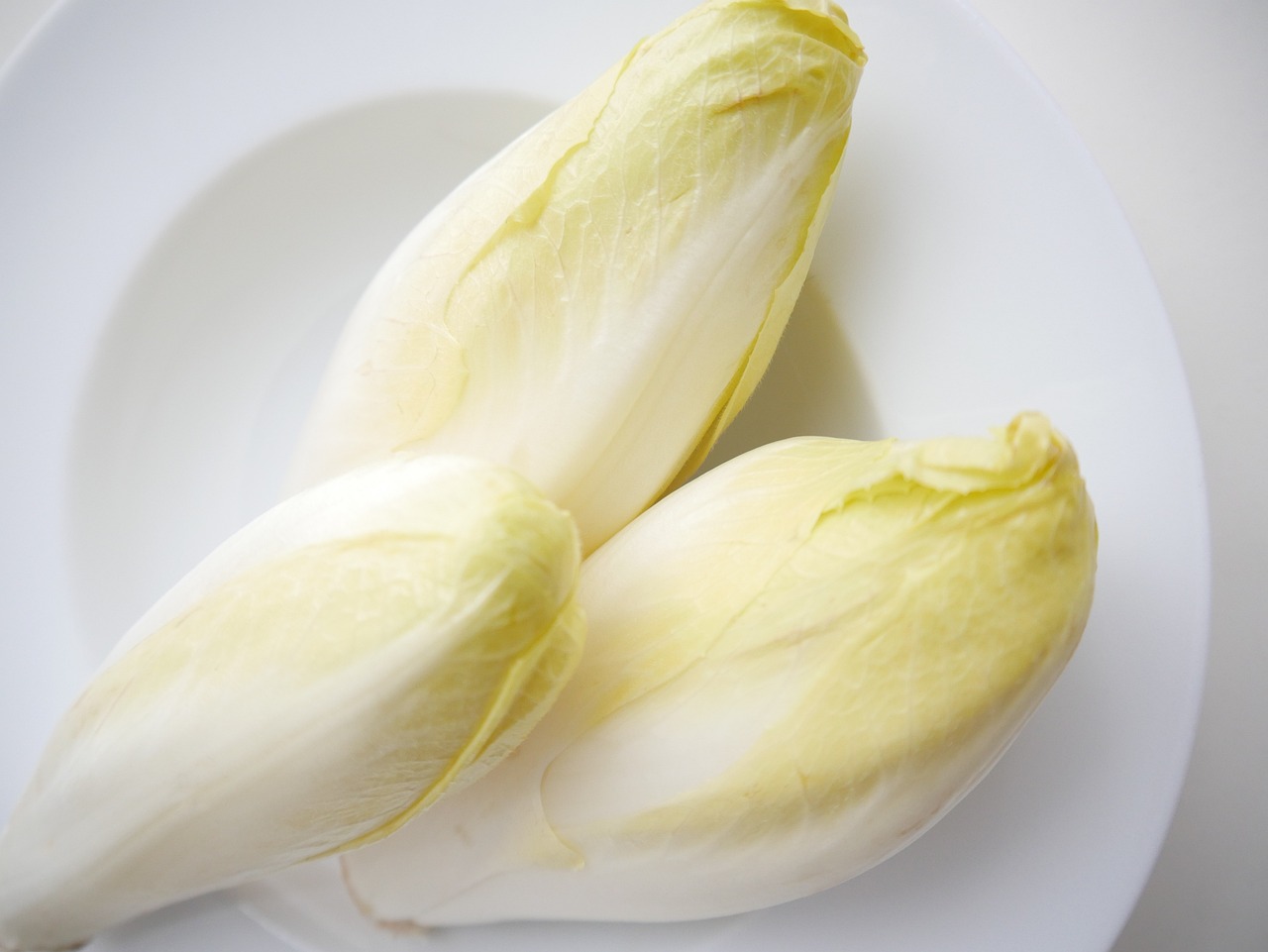 Chicorée – unterschätztes Superfood